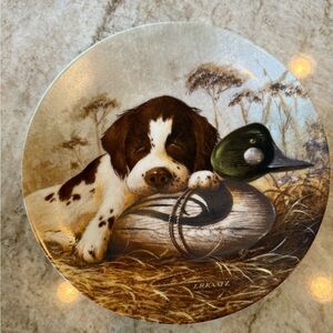English Springer Spaniel Puppy Decorative collectable
Plate